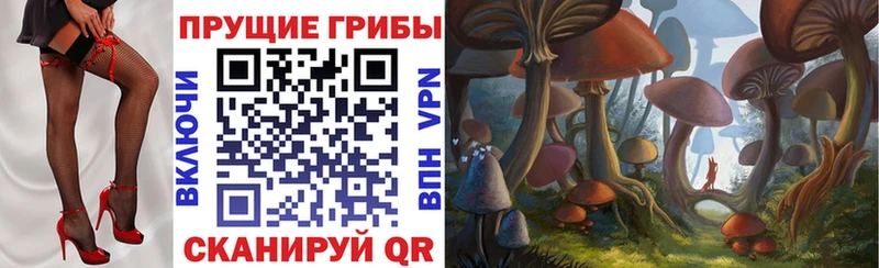 даркнет сайт  Зеленокумск  Галлюциногенные грибы GOLDEN TEACHER 