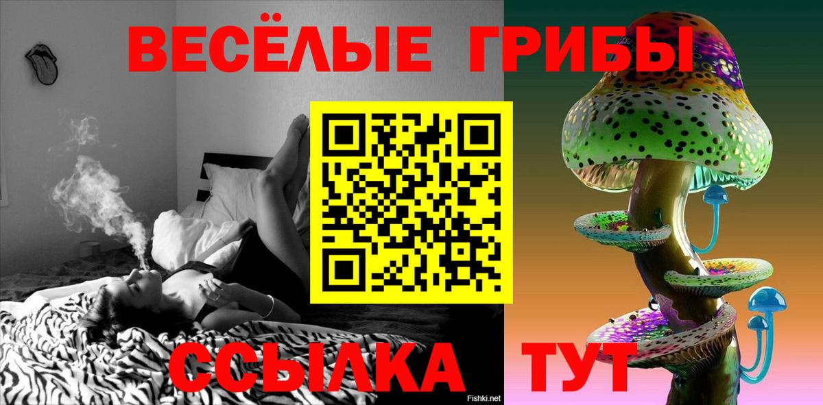 Галлюциногенные грибы прущие грибы Зеленокумск